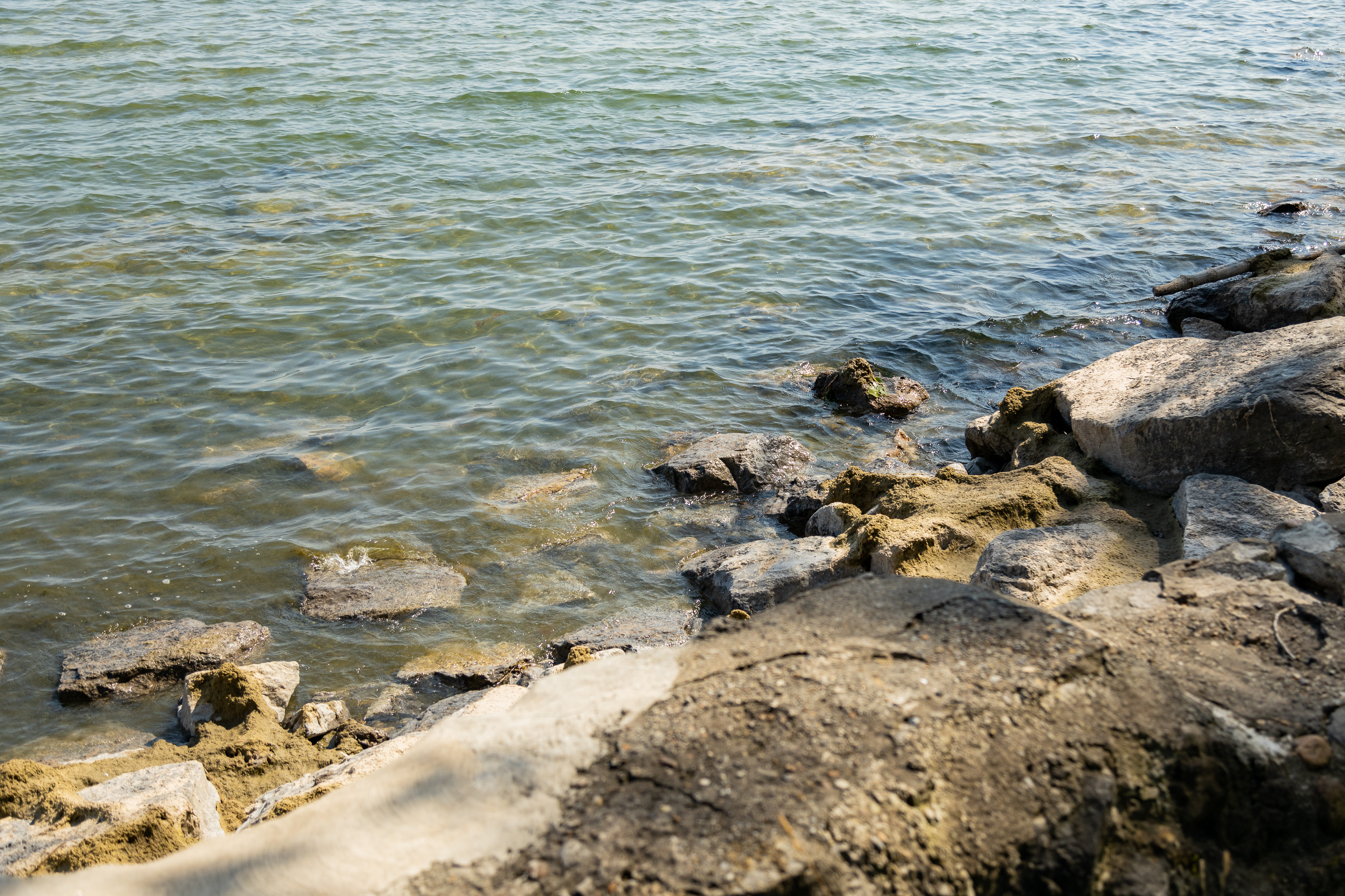 The rocky shoreline at Burleigh Beach